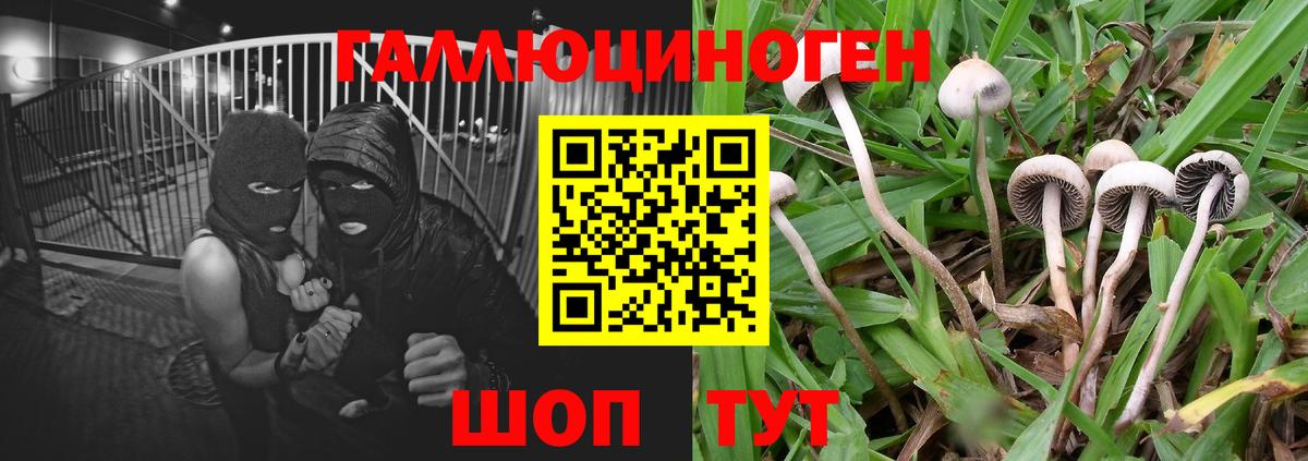 Псилоцибиновые грибы мухоморы  Вход с VPN  как найти закладки  Каспийск  Галлюциногенные грибы прущие грибы 